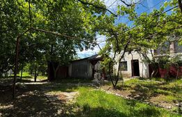 Proprietate cu 2 case bătrânești, 3.345 mp teren, comuna Murgași 