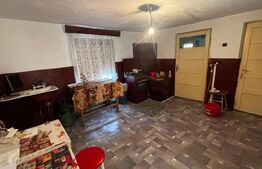 Proprietate cu 2 case bătrânești, 3.345 mp teren, comuna Murgași 