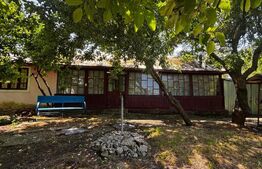 Proprietate cu 2 case bătrânești, 3.345 mp teren, comuna Murgași 