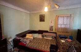 Proprietate cu 2 case bătrânești, 3.345 mp teren, comuna Murgași 