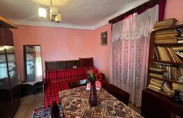 Proprietate cu 2 case bătrânești, 3.345 mp teren, comuna Murgași 