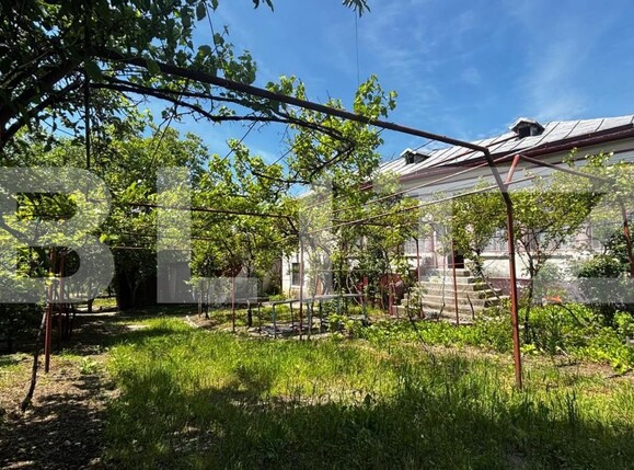 Casa de vânzare 4 camere Nord - 197184CV | BLITZ Craiova | Poza2