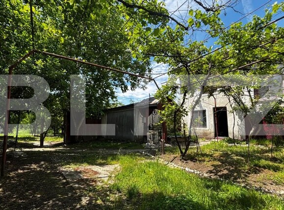 Casa de vânzare 4 camere Nord - 197184CV | BLITZ Craiova | Poza4