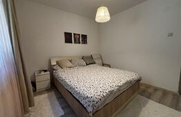 Casă modernă P+M, 336 mp totali, teren 336 mp, curte superbă, Albești