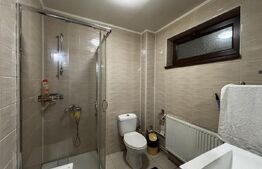 Casă modernă P+M, 336 mp totali, teren 336 mp, curte superbă, Albești
