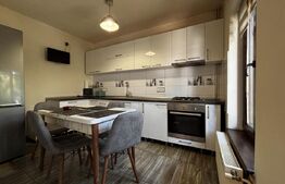 Casă modernă P+M, 336 mp totali, teren 336 mp, curte superbă, Albești