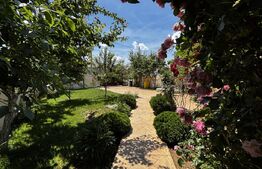 Casă modernă P+M, 336 mp totali, teren 336 mp, curte superbă, Albești
