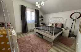 Casă modernă P+M, 336 mp totali, teren 336 mp, curte superbă, Albești