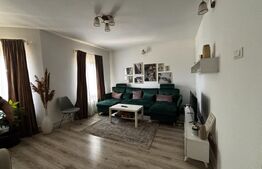 Casă modernă P+M, 336 mp totali, teren 336 mp, curte superbă, Albești