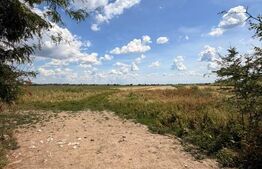 Teren extravilan, 3.800 mp, zona Exterior Nord