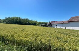 Teren intravilan cu vedere la pădure, 2.533 mp, Melinești, Amărăști
