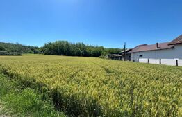 Teren intravilan cu vedere la pădure, 2.533 mp, Melinești, Amărăști