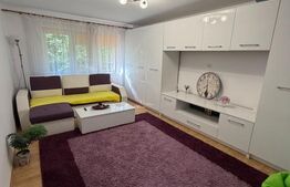 Apartament 2 camere, 49 mp, Rovine, zona Lic Tudor Arghezi 