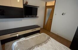 Apartament 2 camere, 49 mp, Rovine, zona Lic Tudor Arghezi 