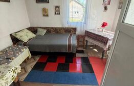 Casa de vanzare, toate utilitatile, 50 mp, 500 mp teren, Filiasi