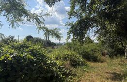 Conac cu priveliste panoramica, 200 mp, 1200 mp teren, zona Lesile