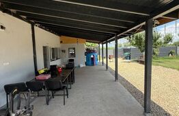Casa 150 mp utili, 2000 mp teren, Cosoveni