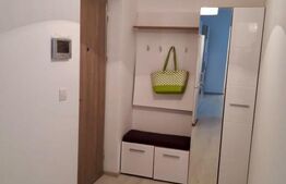 Apartament cu 2 camere, 50 mp, etaj 1, centrala si aer, zona Centrala
