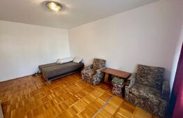 Apartament cu 2 camere, 48 mp, parter, centrala proprie, zona Brestei - Bila 
