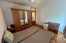 Apartament cu 2 camere, 48 mp, parter, centrala proprie, zona Brestei - Bila 