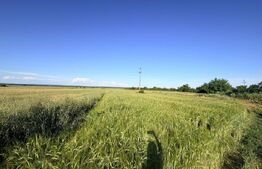 Teren parțial intravilan de vânzare – 9.550 mp, Comuna Podari, Sat Gura Văii