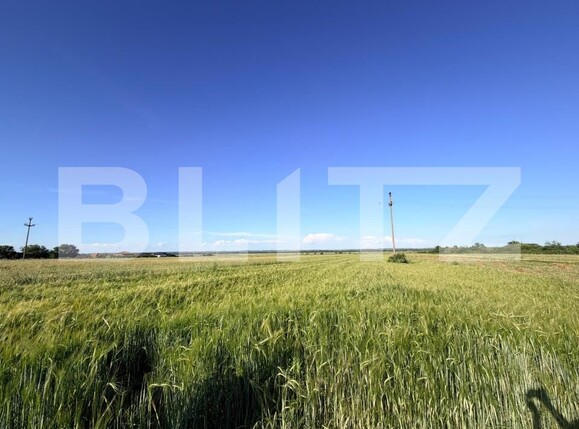 Teren de vânzare Exterior Sud - 197508TV | BLITZ Craiova | Poza3