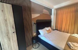 Garsoniera de inchiriat termen scurt, 30 mp, zona Carcea