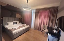 Garsoniera de inchiriat termen scurt, 30 mp, zona Carcea