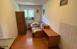 Camera de camin Valea Rosie