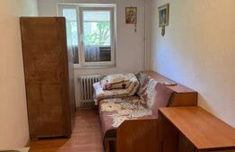 Camera de camin Valea Rosie