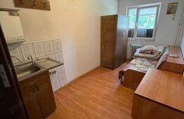 Camera de camin Valea Rosie