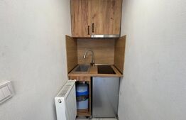 Garsoniera de inchiriat la casa, 20 mp, decomandata, zona Parc