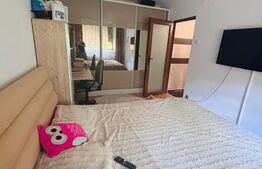 Apartament 2 camere decomandat, centrală proprie, 54 mp, zona Brazda lui Novac 