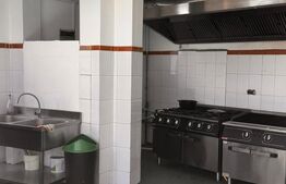 Spatiu Comercial, 508 mp, zona Valea Rosie