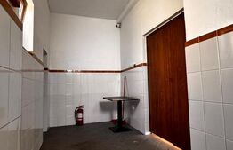 Spatiu Comercial, 508 mp, zona Valea Rosie