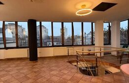 Spatiu Comercial, 508 mp, zona Valea Rosie