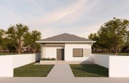 Casa parter, 142 mp suprafata utila, 500 mp teren, cartier Damila