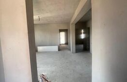 Casa parter, 142.75 mp suprafata utila, 500 mp teren, cartier Damila