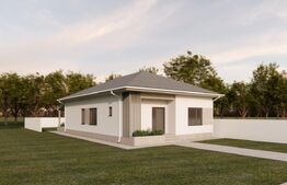 Casa parter, 142 mp suprafata utila, 500 mp teren, cartier Damila