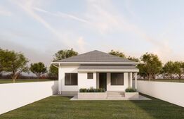 Casa parter, 142 mp suprafata utila, 500 mp teren, cartier Damila