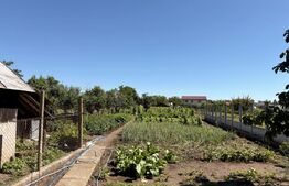 Casă 90 mp, teren de 2.174 mp, zona Coșoveni 