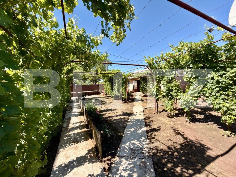 Casa de vânzare 3 camere Sud-Est - 198049CV | BLITZ Craiova | Poza9