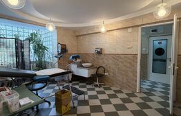Cabinet medical pentru inchiriere, Calea Bucuresti, 113 mp utili