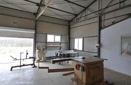 Hala industriala/comerciala, 190 mp, teren 2460 mp, Vulpeni