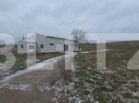 Spațiu comercial de vânzare Periferie - 198112SVC | BLITZ Craiova | Poza2