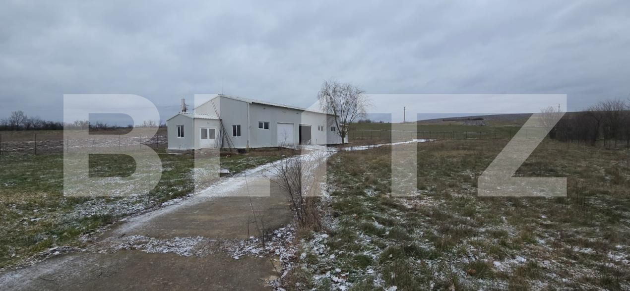 Spațiu comercial de vânzare Periferie - 198112SVC | BLITZ Craiova | Poza2