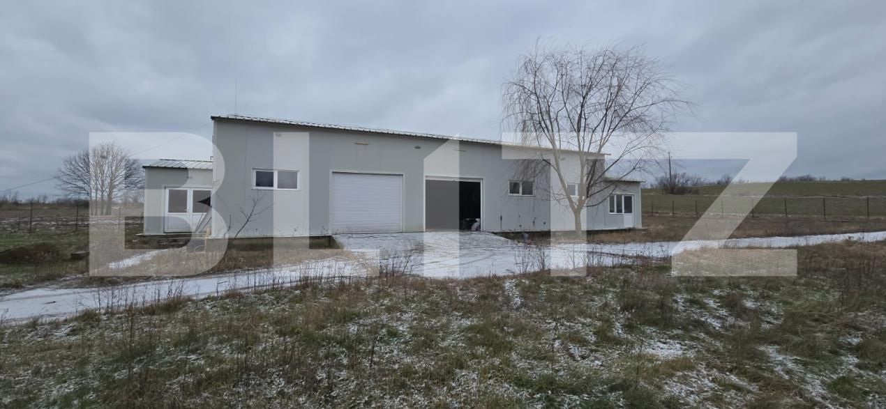 Spațiu comercial de vânzare Periferie - 198112SVC | BLITZ Craiova | Poza10