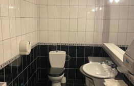 Spatiu comercial, 618 mp, P+1+M, Piata Mare
