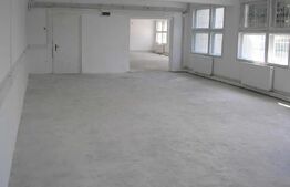 Spatiu comercial, 220 mp, zona 1 Mai