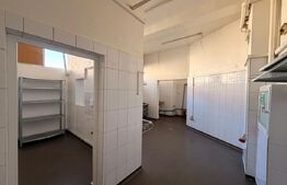 Spațiu comercial de închiriat, Centrul Vechi Craiova, Zona Minerva
